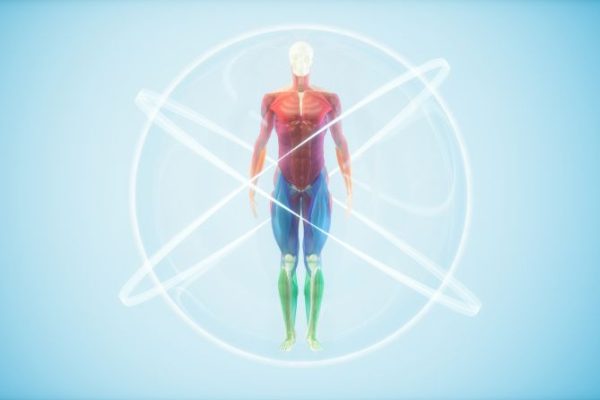 Understanding Your Body’s Indications : Importance & Ways