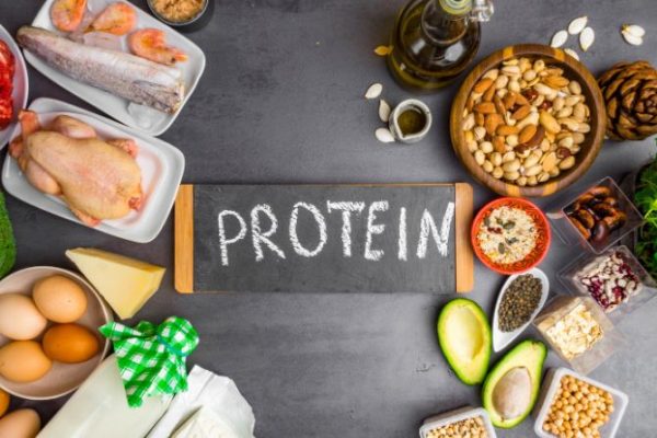 Top 5 Protein Rich Food For a Healthy Body